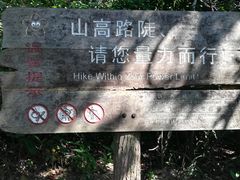 -梧桐山风景名胜区