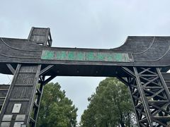 -溱湖国家湿地公园