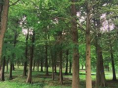 -同里国家湿地公园