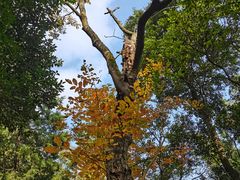 -金堂县云顶石城风景区