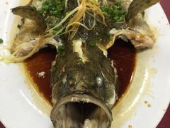 -隆都四季香饭店(碧海路店)