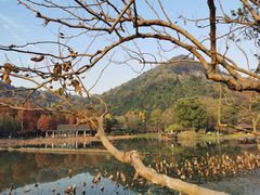 -八卦田遗址公园