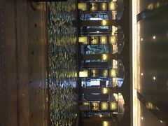 星河湾酒店(浦东店)-上海浦东星河湾酒店