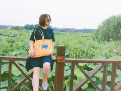 -荷塘月色湿地公园·向阳花洲