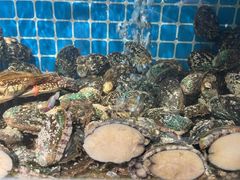 -北戴河庆山饭店·海鲜砂锅粥(北戴河黑石路店)