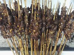-最昭通一品黄牛小肉串(新迎店)