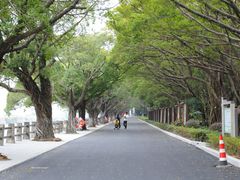 -大湾区中央湿地公园