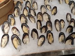 -芭菲盛宴·环球美食(北城国际店)