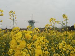 -武汉紫薇都市田园