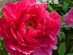 -幕燕滨江·长江观音景区