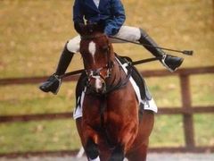 -松声马术俱乐部