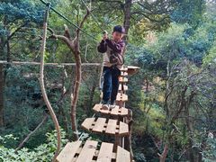 -杭州开元森泊度假乐园