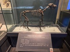 -大庆市博物馆