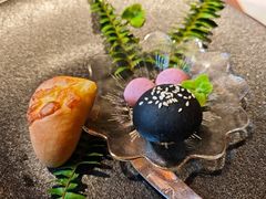 -叶叶菩提(太原别墅店)