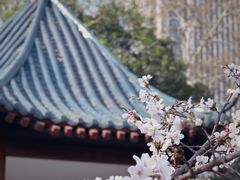 -中山公园