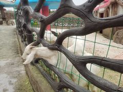 -白鹿原影视城