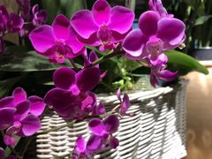 -春暖花开(西溪店)