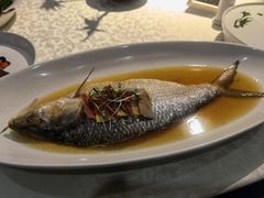 古法秘制蒸鲥鱼-麟1929(外滩店)