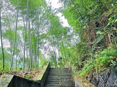 -白云源风景区