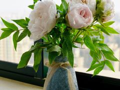 -双季花艺园艺市场(浦东店)