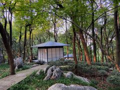 -中国茶叶博物馆(双峰馆区)