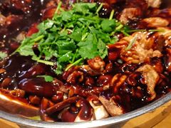 -黄记煌三汁焖锅(龙湖U城店)