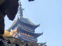 -常熟方塔园