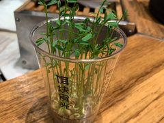 -饵块食光·云南有机手作饵块