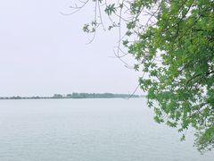 -贡湖湾湿地公园