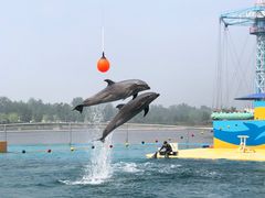 -秦皇岛乐岛海洋王国