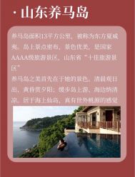 -Sunny喜铺婚礼策划(东部店)