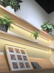 -七色田儿童摄影(静安店)