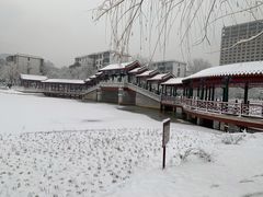 -西海子公园