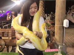 -清迈夜间动物园