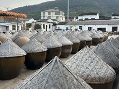 -苏州市吴中区光福窑上花果蜜饯厂