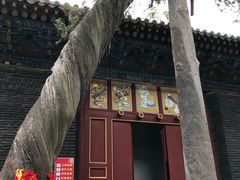 -关林