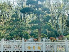 -南京东郊国宾馆