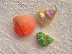 -摩登百货(岗顶店)