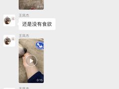 -北京派仕佳德动物医院·超导核磁·CT·神经科·骨科·内外科·急重症管理中心