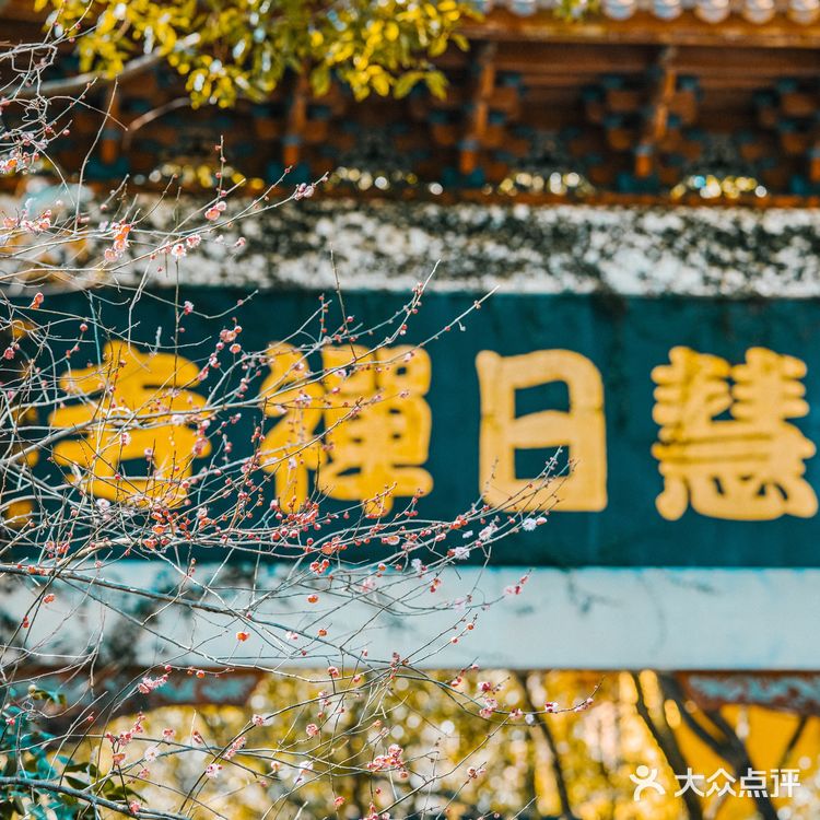 宁波|慧日禅寺,99.9%的人都不知道的小众寺庙