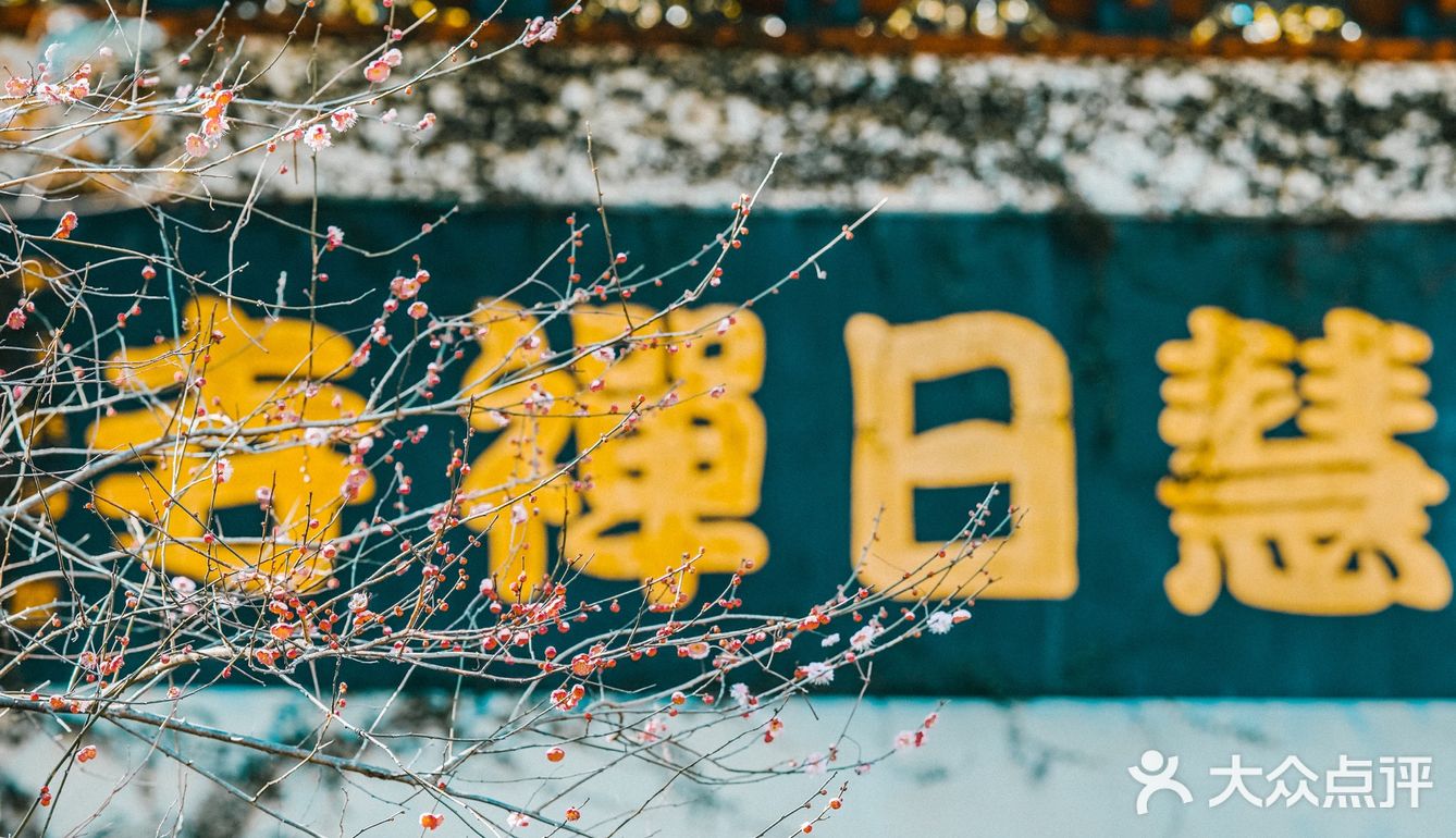 宁波｜慧日禅寺，99.9%的人都不知道的小众寺庙
