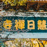 宁波｜慧日禅寺，99.9%的人都不知道的小众寺庙