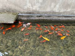 -前童古镇