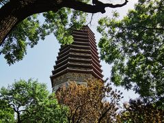 -玲珑塔公园