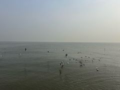 -天津东疆湾沙滩景区