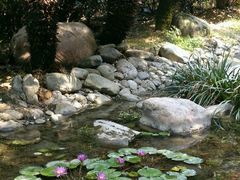 android_upload_pic-明月山天沐温泉度假村