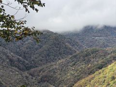 -五女峰国家森林公园