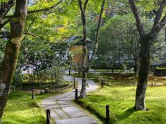 -西芳寺(苔寺)