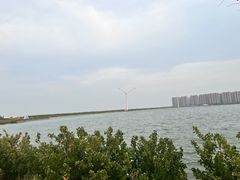 -启东黄金海滩景区