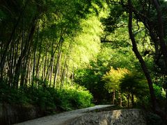 -北仑森林植物园